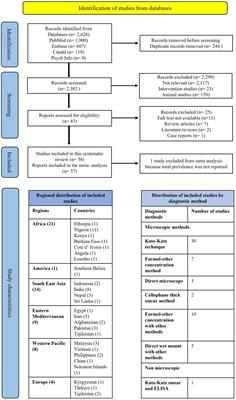 Prevalence and correlates of soil-transmitted helminths in schoolchildren aged 5 to 18 years in low- and middle-income countries: a systematic review and meta-analysis